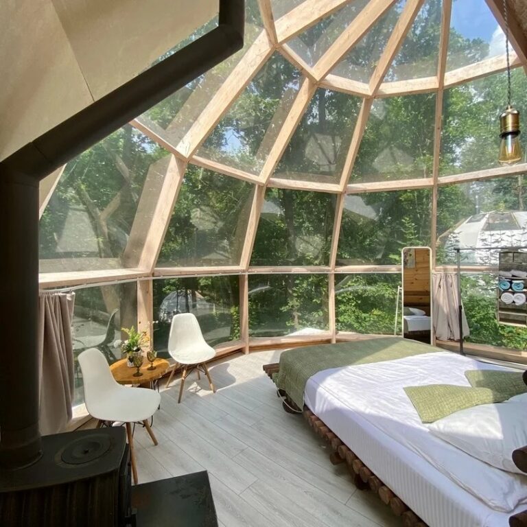 387759269_750226033785805_8049862942875582746_n